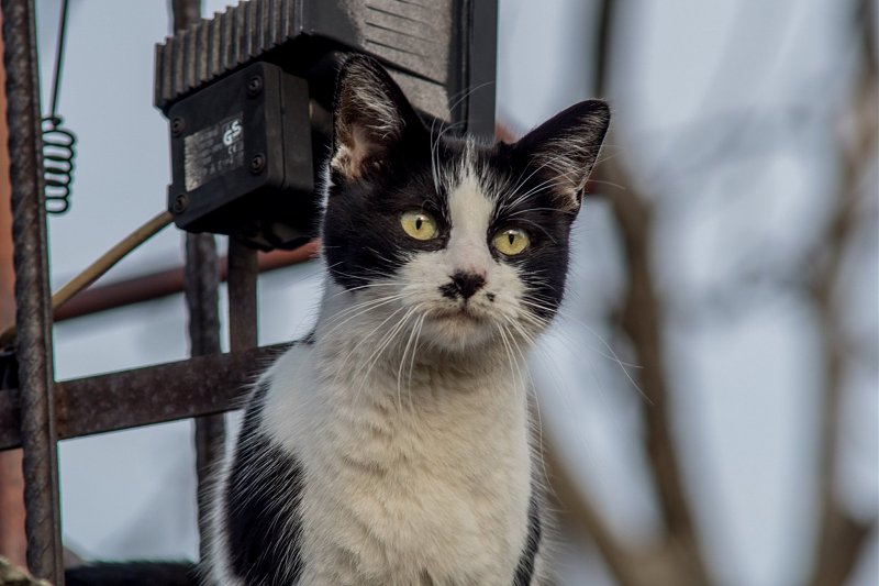 Натиснете снимката за да я уголемите

Име:_DSC1696-1.jpg
Прегледи:278
Размер:283.2 КБ
ID:6570581