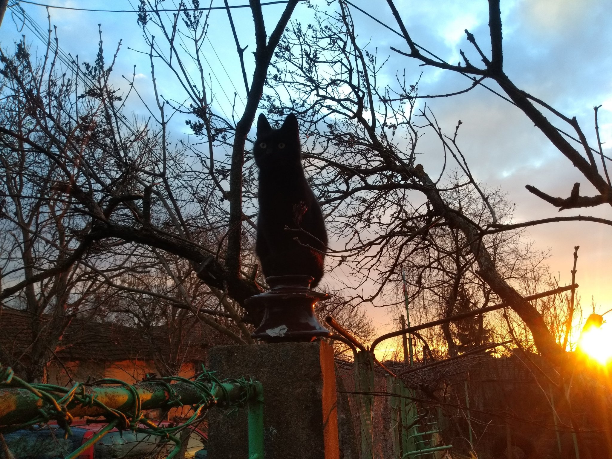 Натиснете снимката за да я уголемите

Име:IMG_20200215_173307003.jpg
Прегледи:547
Размер:775.6 КБ
ID:6570657