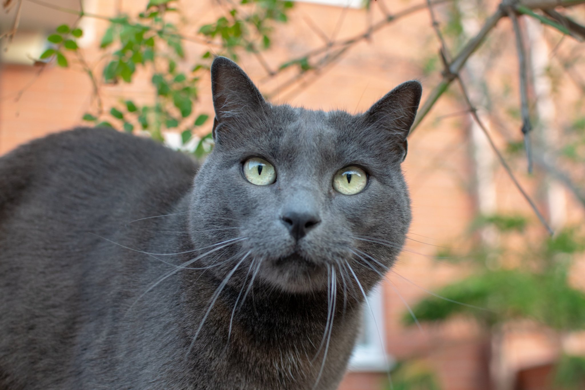 Натиснете снимката за да я уголемите

Име:DSC_0243-resized.jpg
Прегледи:538
Размер:323.7 КБ
ID:6570683