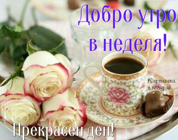 Натиснете снимката за да я уголемите

Име:491.jpg
Прегледи:165
Размер:61.8 КБ
ID:6572094