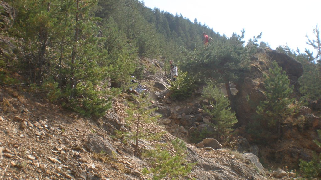 Натиснете снимката за да я уголемите

Име:P8180724.jpg
Прегледи:2
Размер:158.0 КБ
ID:5400567