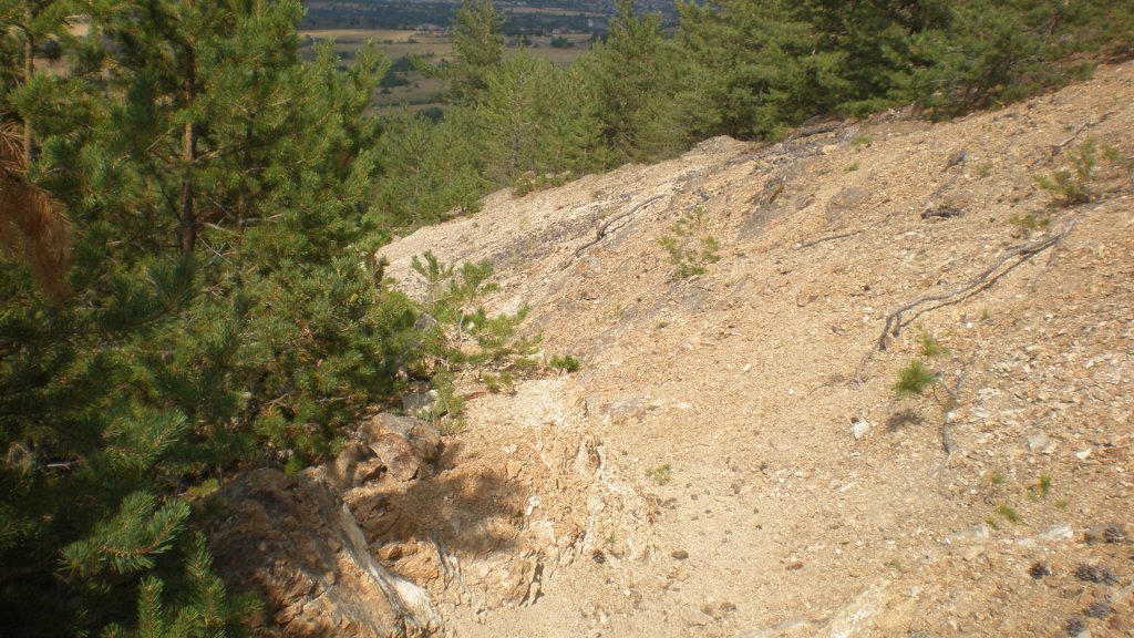 Натиснете снимката за да я уголемите

Име:P8180725.jpg
Прегледи:2
Размер:178.9 КБ
ID:5400568