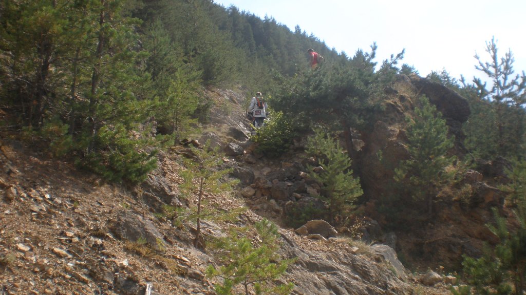 Натиснете снимката за да я уголемите

Име:P8180726.jpg
Прегледи:2
Размер:141.2 КБ
ID:5400569