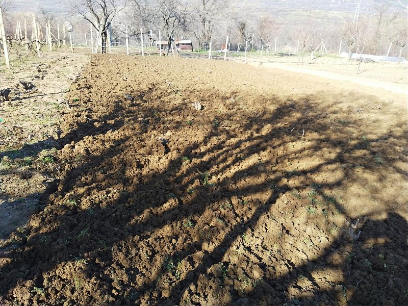 Натиснете снимката за да я уголемите  Име:IMG_20200320_152442.jpg Прегледи:0 Размер:881.6 КБ ID:6575010