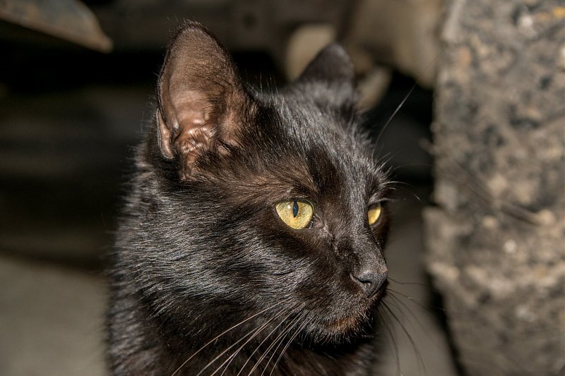 Натиснете снимката за да я уголемите

Име:_DSC1869-1.jpg
Прегледи:598
Размер:457.4 КБ
ID:6575081