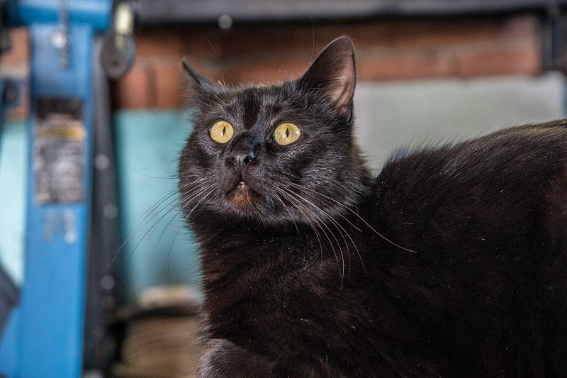 Натиснете снимката за да я уголемите

Име:_DSC1857-1.jpg
Прегледи:585
Размер:498.4 КБ
ID:6575082