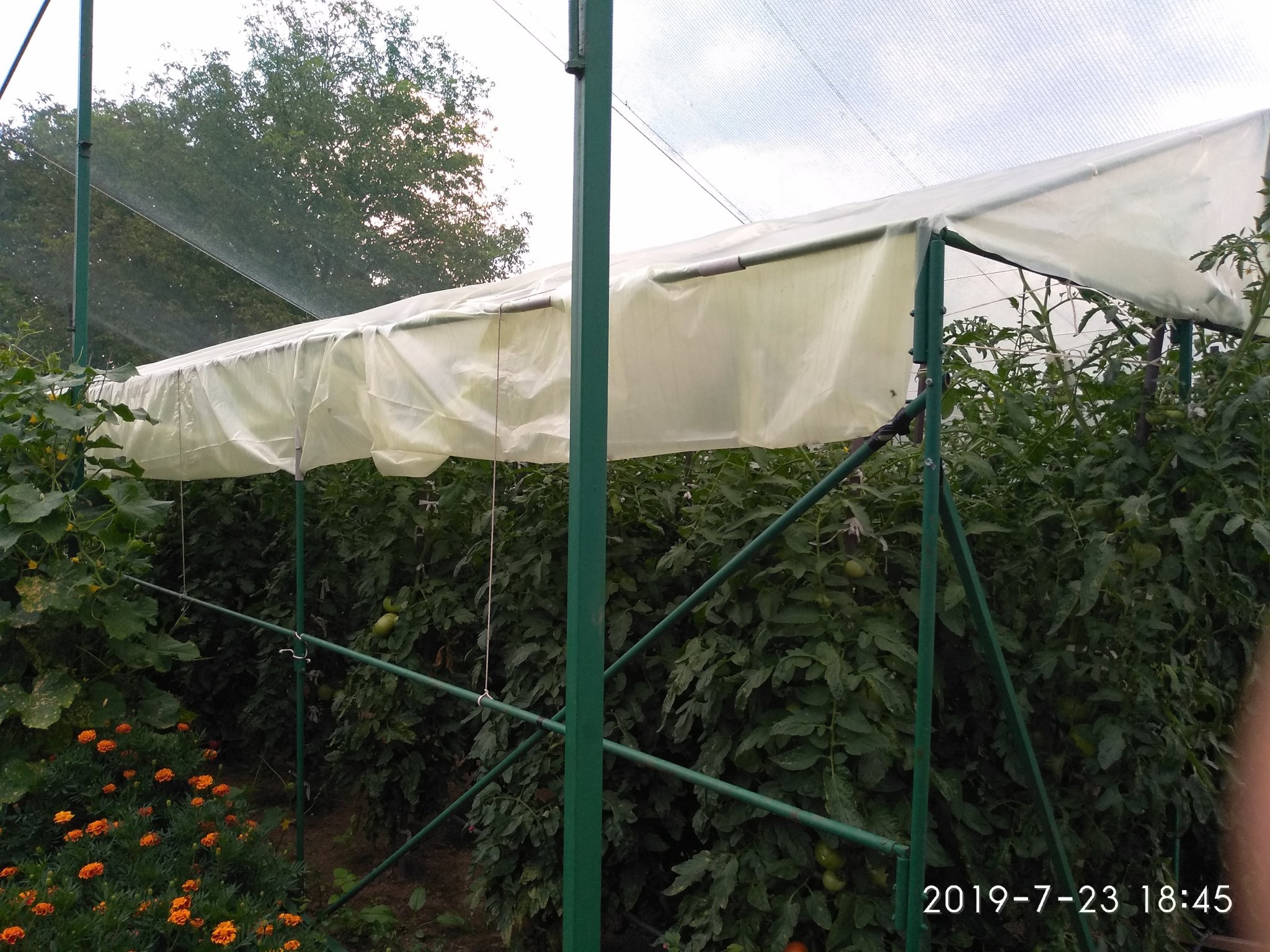 Натиснете снимката за да я уголемите

Име:IMG_20190723_184523.jpg
Прегледи:1962
Размер:602.8 КБ
ID:6576634