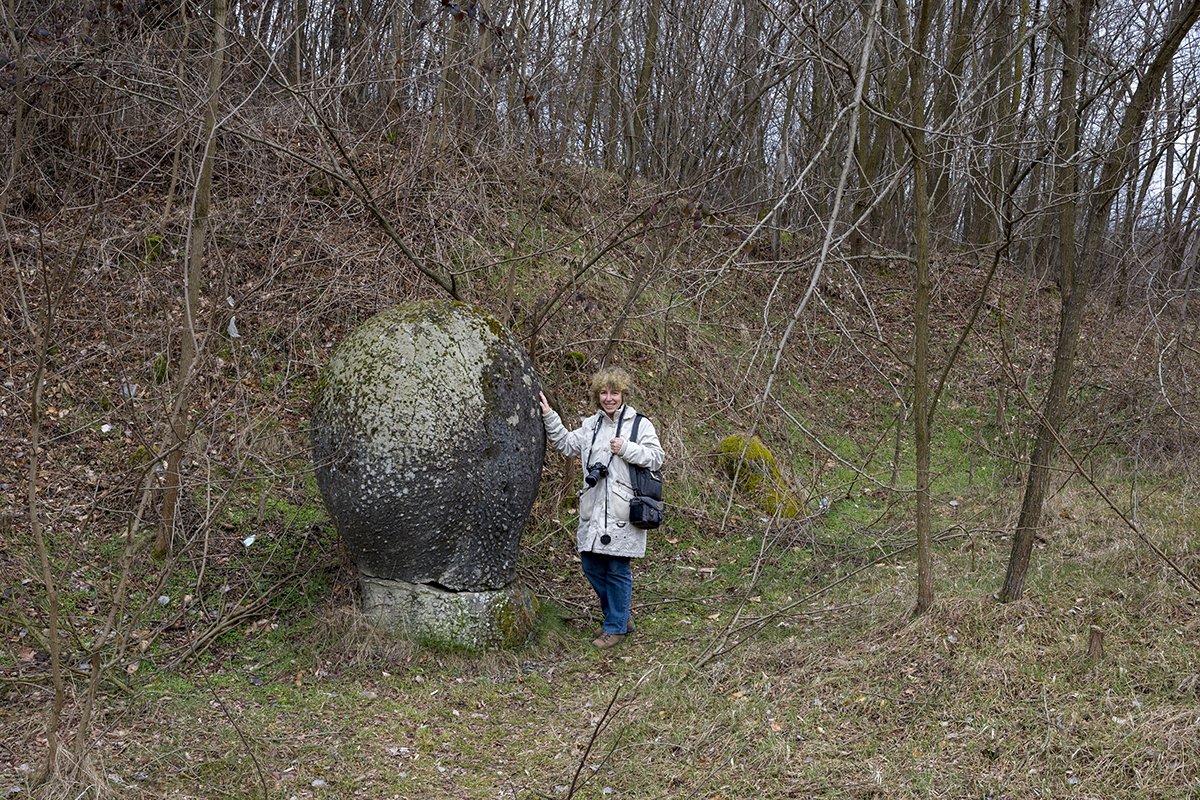 Натиснете снимката за да я уголемите  Име:DSC_8165.jpg Прегледи:0 Размер:460.9 КБ ID:6579440