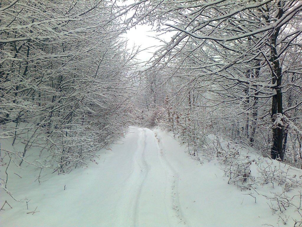 Натиснете снимката за да я уголемите

Име:Снимка0345.jpg
Прегледи:2
Размер:273.6 КБ
ID:5448496