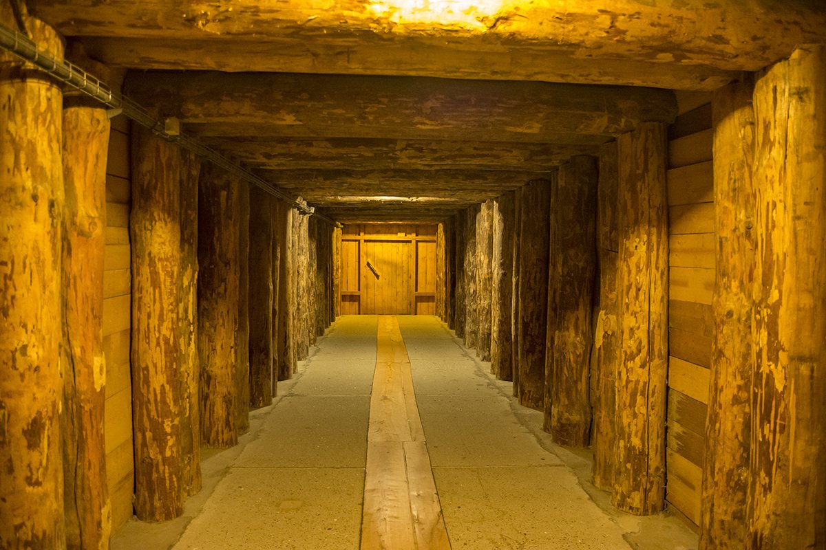 Натиснете снимката за да я уголемите  Име:DSC_7200.jpg Прегледи:0 Размер:203.1 КБ ID:6587462