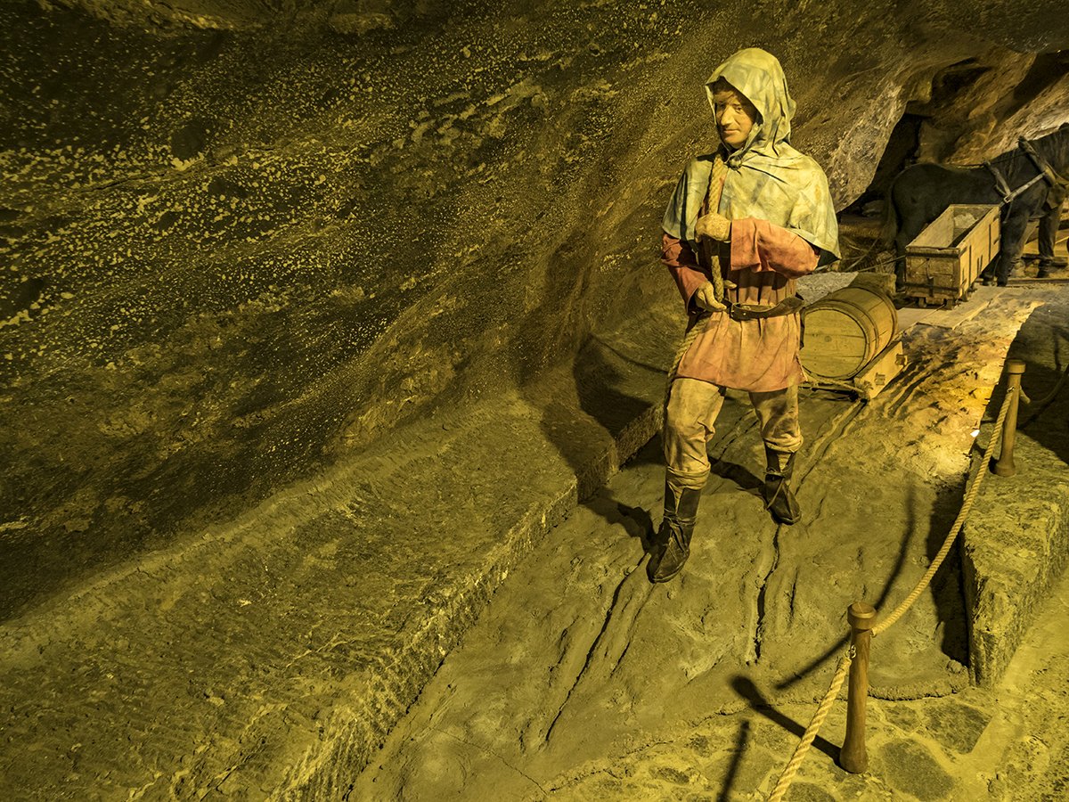 Натиснете снимката за да я уголемите  Име:P1040084.jpg Прегледи:0 Размер:364.5 КБ ID:6587471