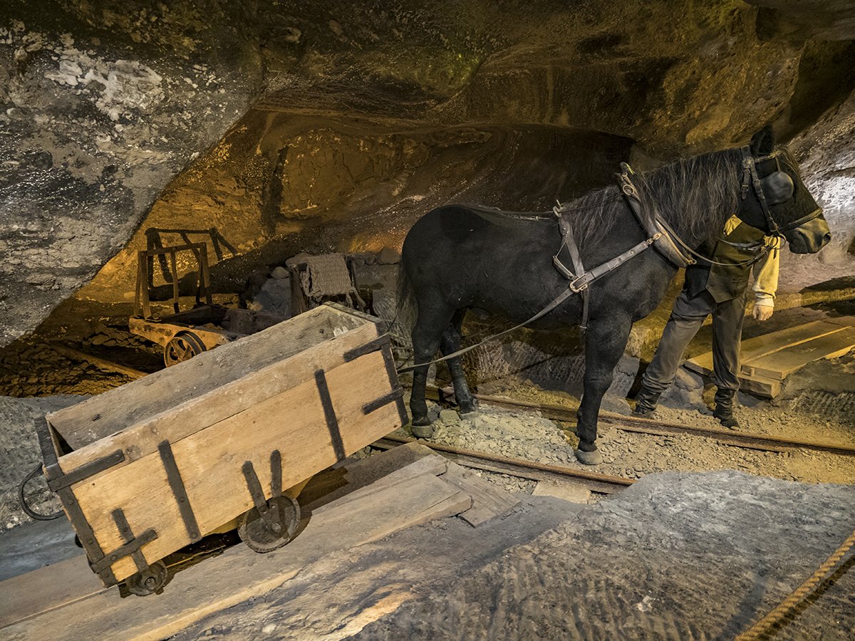 Натиснете снимката за да я уголемите  Име:P1040086.jpg Прегледи:0 Размер:321.3 КБ ID:6587472