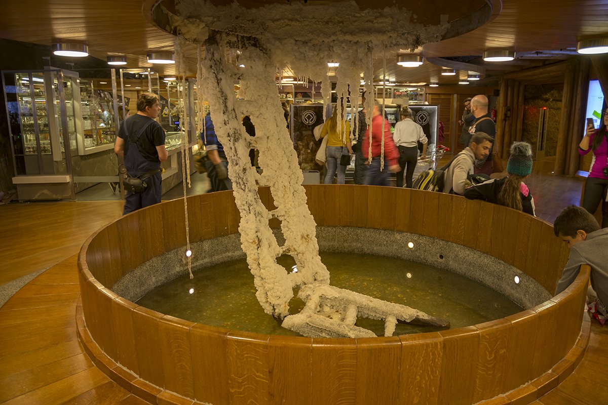 Натиснете снимката за да я уголемите  Име:DSC_7260.jpg Прегледи:0 Размер:201.6 КБ ID:6587513