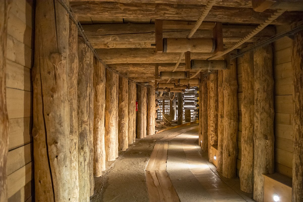 Натиснете снимката за да я уголемите  Име:DSC_7202.jpg Прегледи:0 Размер:204.7 КБ ID:6587521