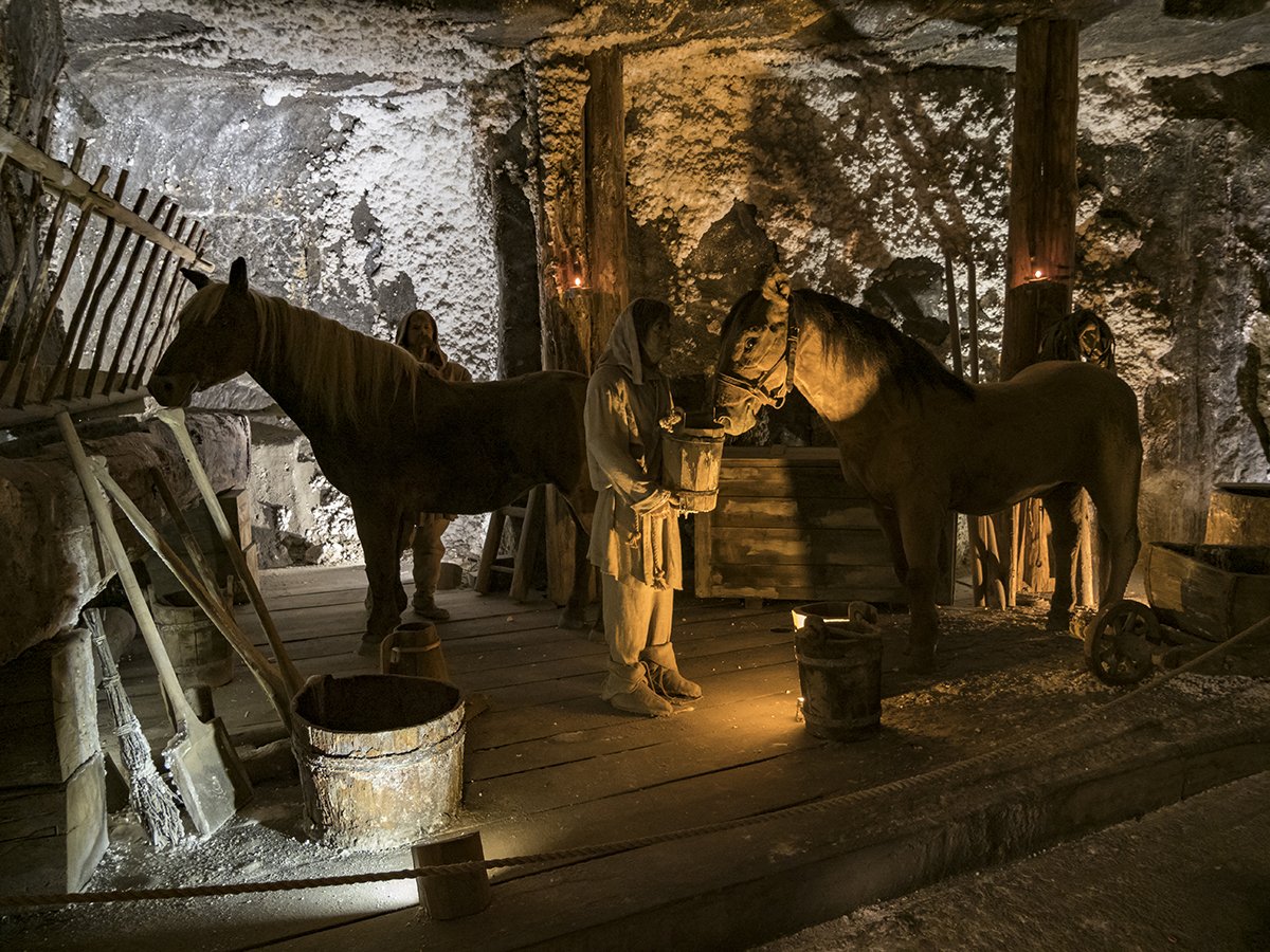 Натиснете снимката за да я уголемите  Име:P1040105.jpg Прегледи:0 Размер:300.1 КБ ID:6587537