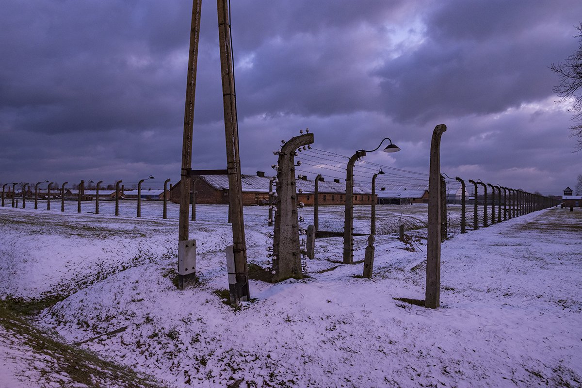 Натиснете снимката за да я уголемите  Име:DSC_7428.jpg Прегледи:0 Размер:218.3 КБ ID:6587726