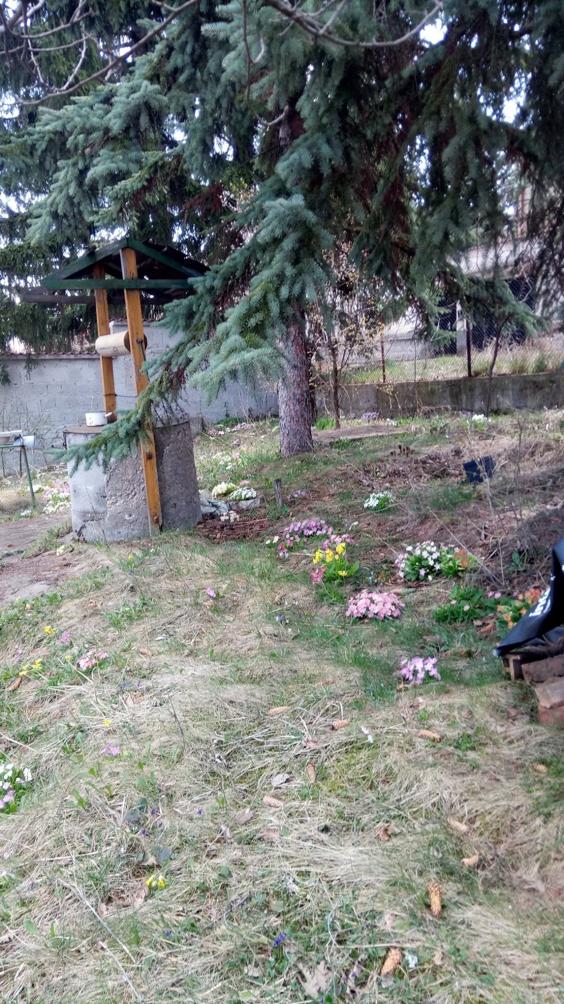 Натиснете снимката за да я уголемите

Име:IMG_20200411_123909.jpg
Прегледи:602
Размер:712.6 КБ
ID:6587984
