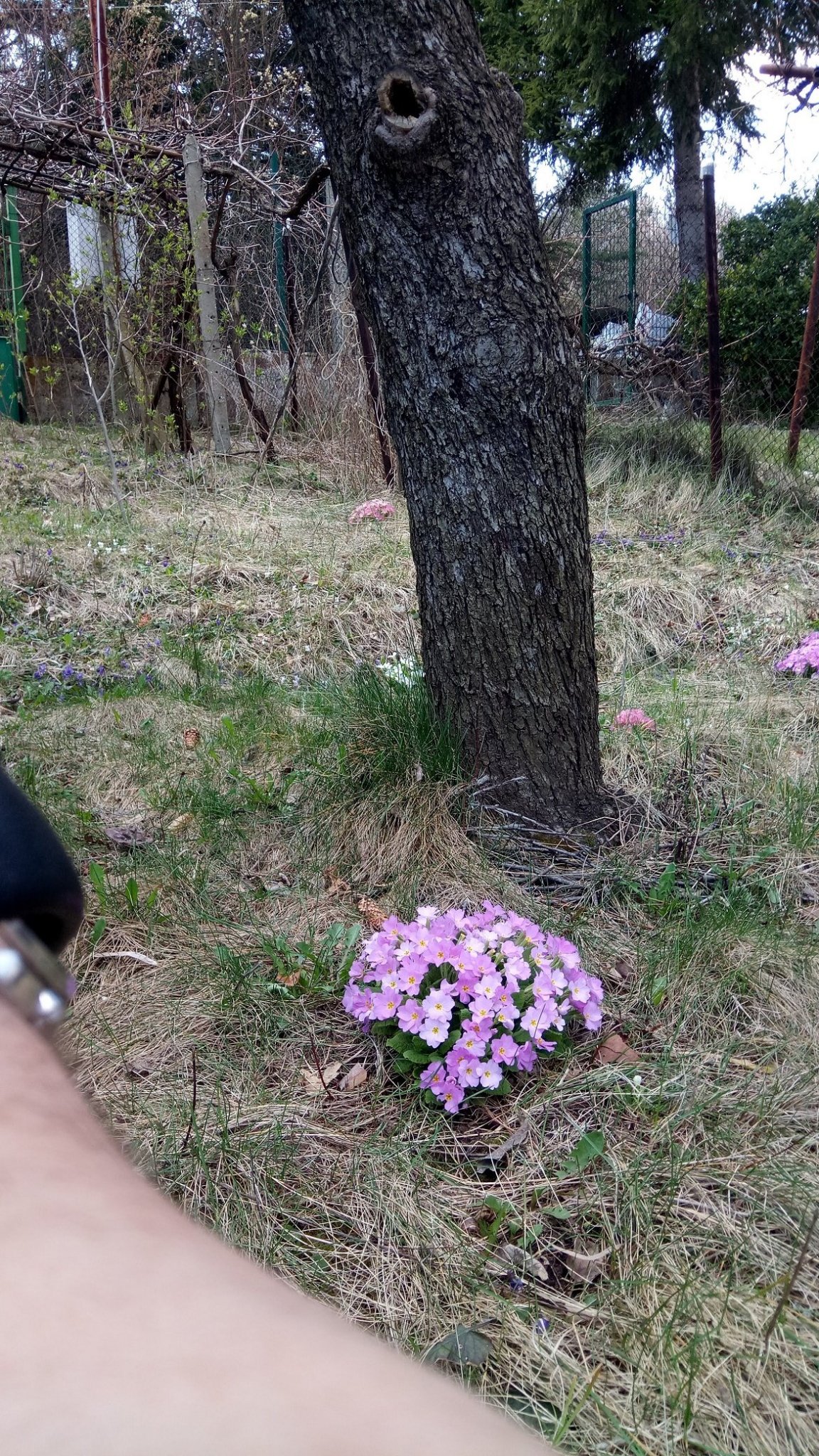 Натиснете снимката за да я уголемите

Име:IMG_20200411_123901.jpg
Прегледи:595
Размер:909.0 КБ
ID:6587987