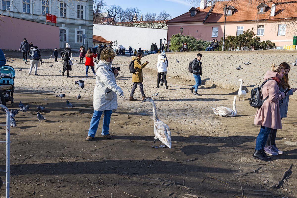 Натиснете снимката за да я уголемите  Име:DSC_7656.jpg Прегледи:0 Размер:321.4 КБ ID:6594513