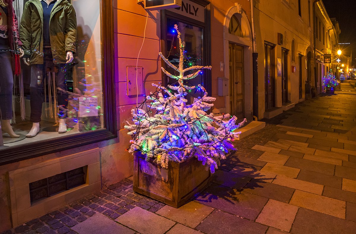 Натиснете снимката за да я уголемите  Име:DSC_6780.jpg Прегледи:0 Размер:234.6 КБ ID:6598197