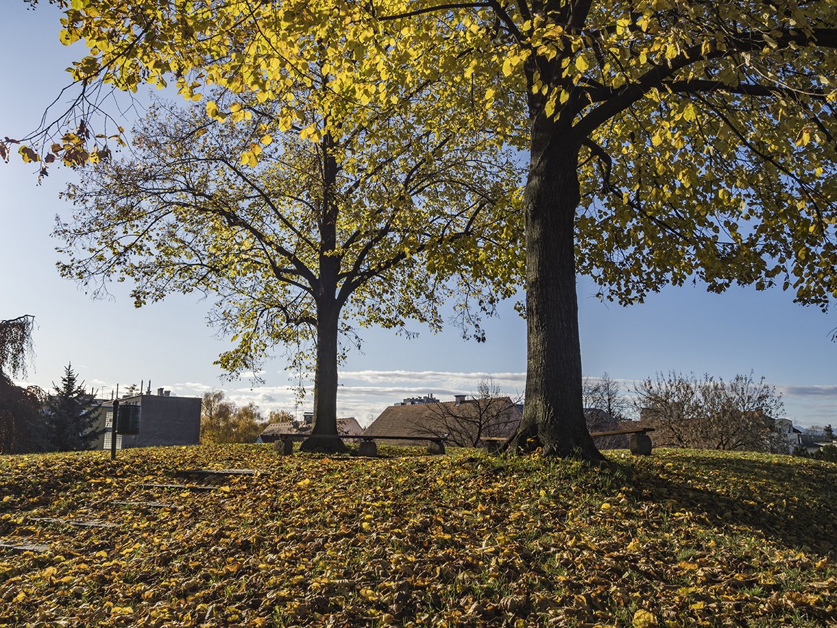 Натиснете снимката за да я уголемите  Име:PB300160.jpg Прегледи:0 Размер:499.0 КБ ID:6598240