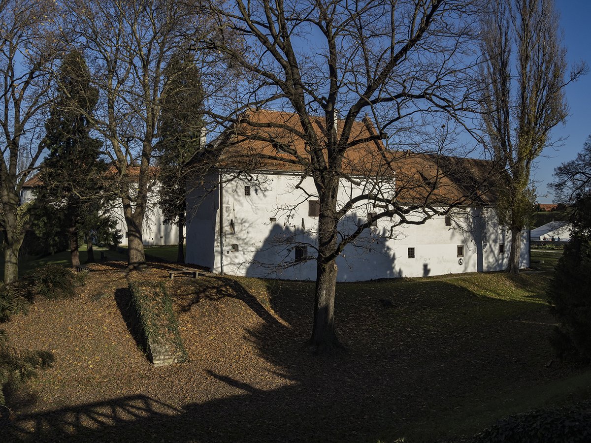 Натиснете снимката за да я уголемите  Име:PB300163.jpg Прегледи:0 Размер:379.5 КБ ID:6598241