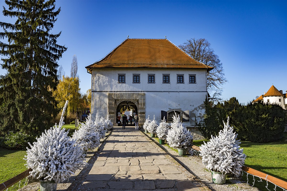 Натиснете снимката за да я уголемите  Име:DSC_6828.jpg Прегледи:0 Размер:311.1 КБ ID:6598289