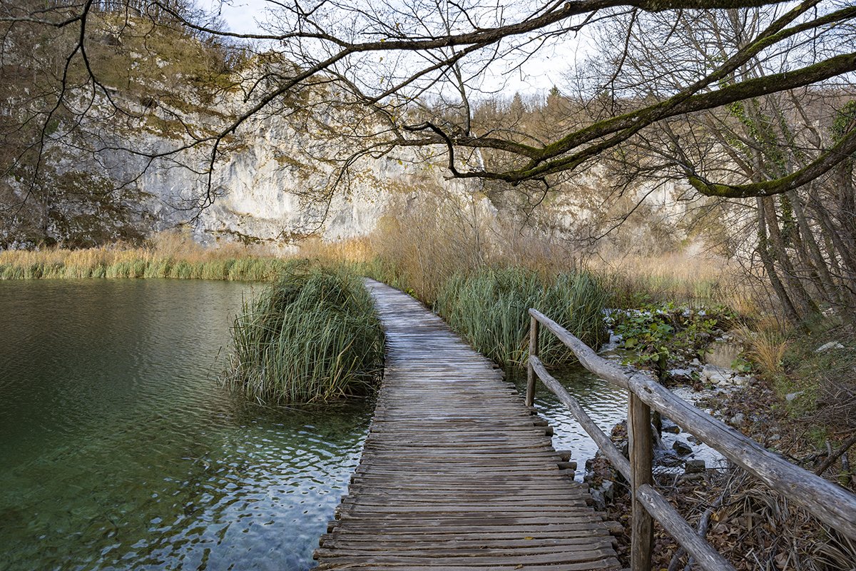 Натиснете снимката за да я уголемите  Име:DSC_6919.jpg Прегледи:0 Размер:396.9 КБ ID:6598470