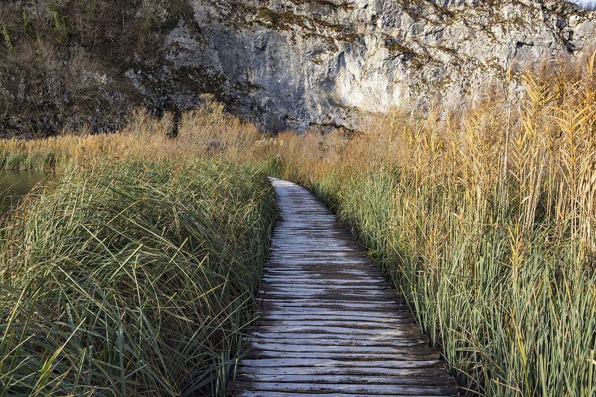 Натиснете снимката за да я уголемите  Име:DSC_6920.jpg Прегледи:0 Размер:447.4 КБ ID:6598471