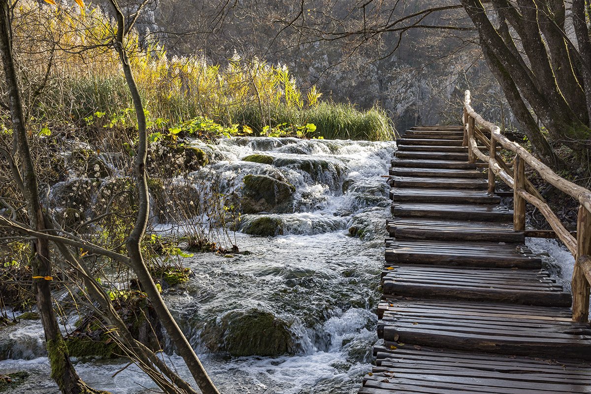 Натиснете снимката за да я уголемите  Име:DSC_6932.jpg Прегледи:0 Размер:412.8 КБ ID:6598484