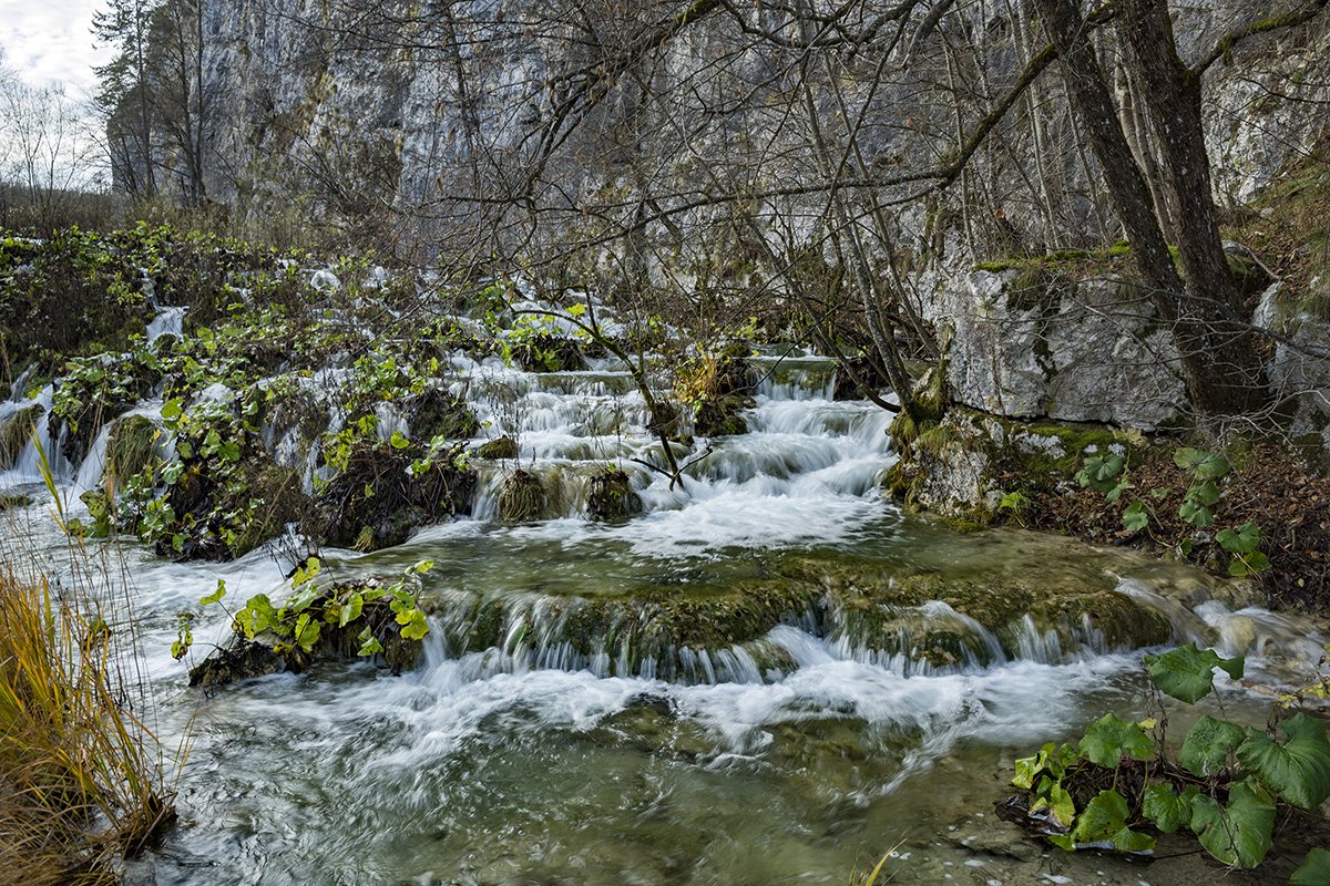 Натиснете снимката за да я уголемите  Име:DSC_6938.jpg Прегледи:0 Размер:401.1 КБ ID:6598485