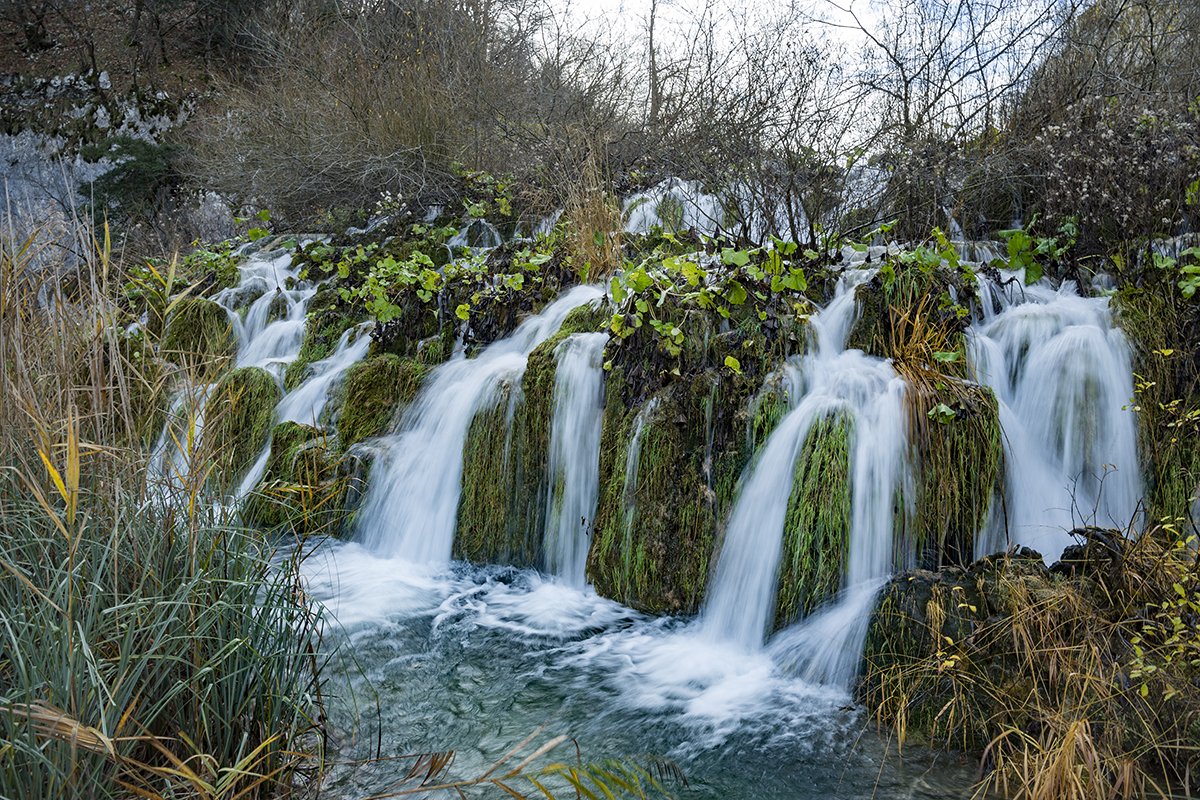 Натиснете снимката за да я уголемите  Име:DSC_6940.jpg Прегледи:0 Размер:397.6 КБ ID:6598486