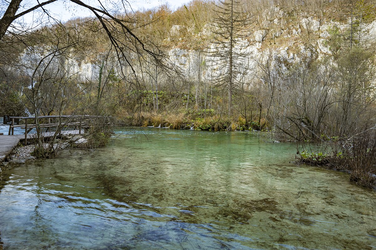 Натиснете снимката за да я уголемите  Име:DSC_6946.jpg Прегледи:0 Размер:371.2 КБ ID:6598488