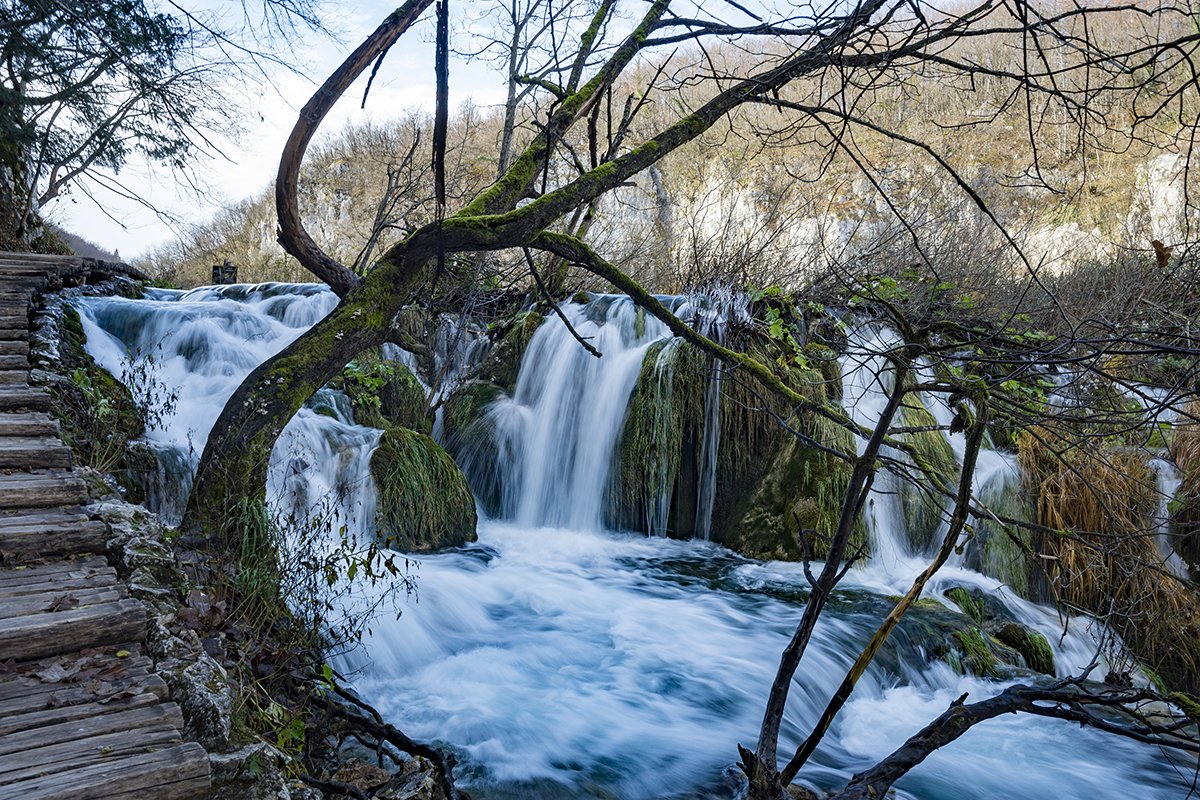 Натиснете снимката за да я уголемите  Име:DSC_6953.jpg Прегледи:0 Размер:386.5 КБ ID:6598489