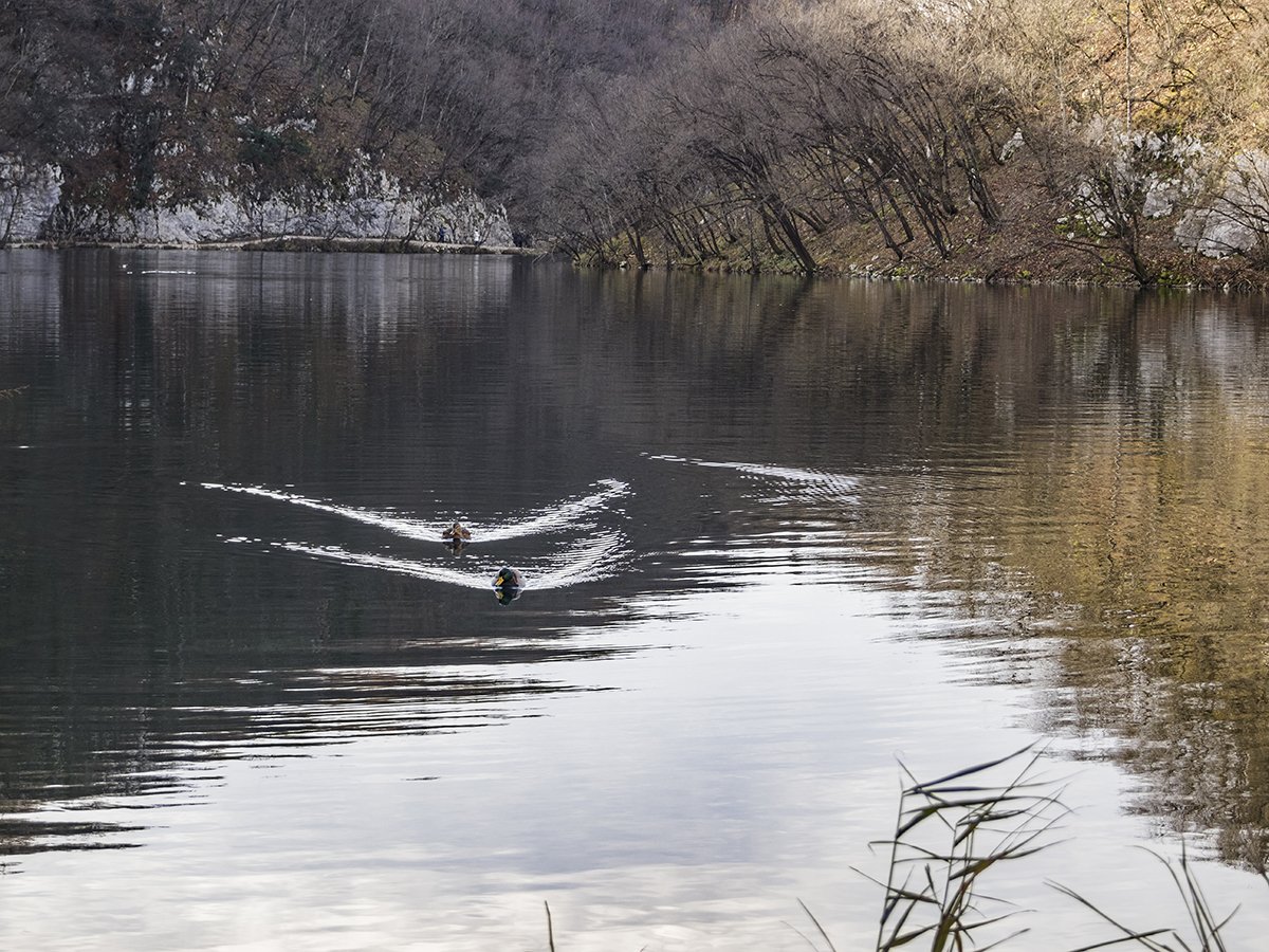 Натиснете снимката за да я уголемите  Име:PC010428.jpg Прегледи:0 Размер:282.9 КБ ID:6598493