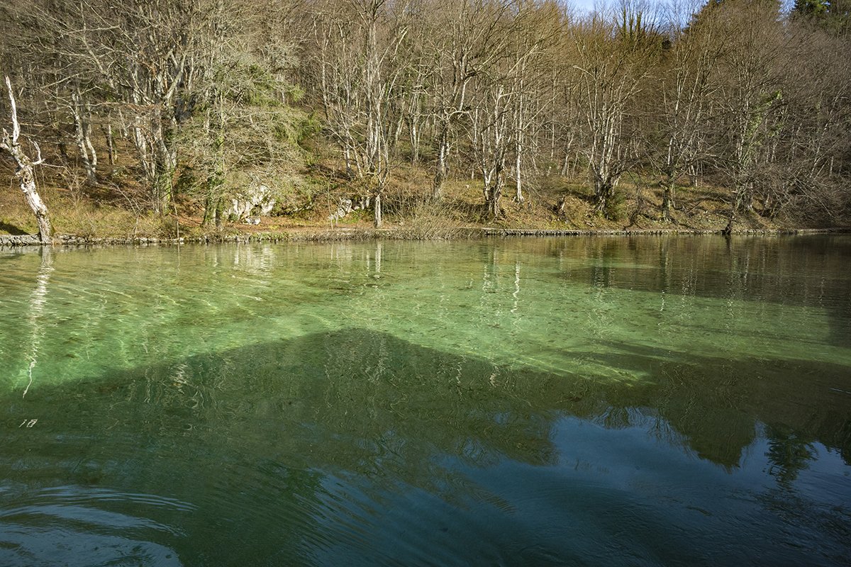Натиснете снимката за да я уголемите  Име:DSC_6982.jpg Прегледи:0 Размер:313.3 КБ ID:6598504