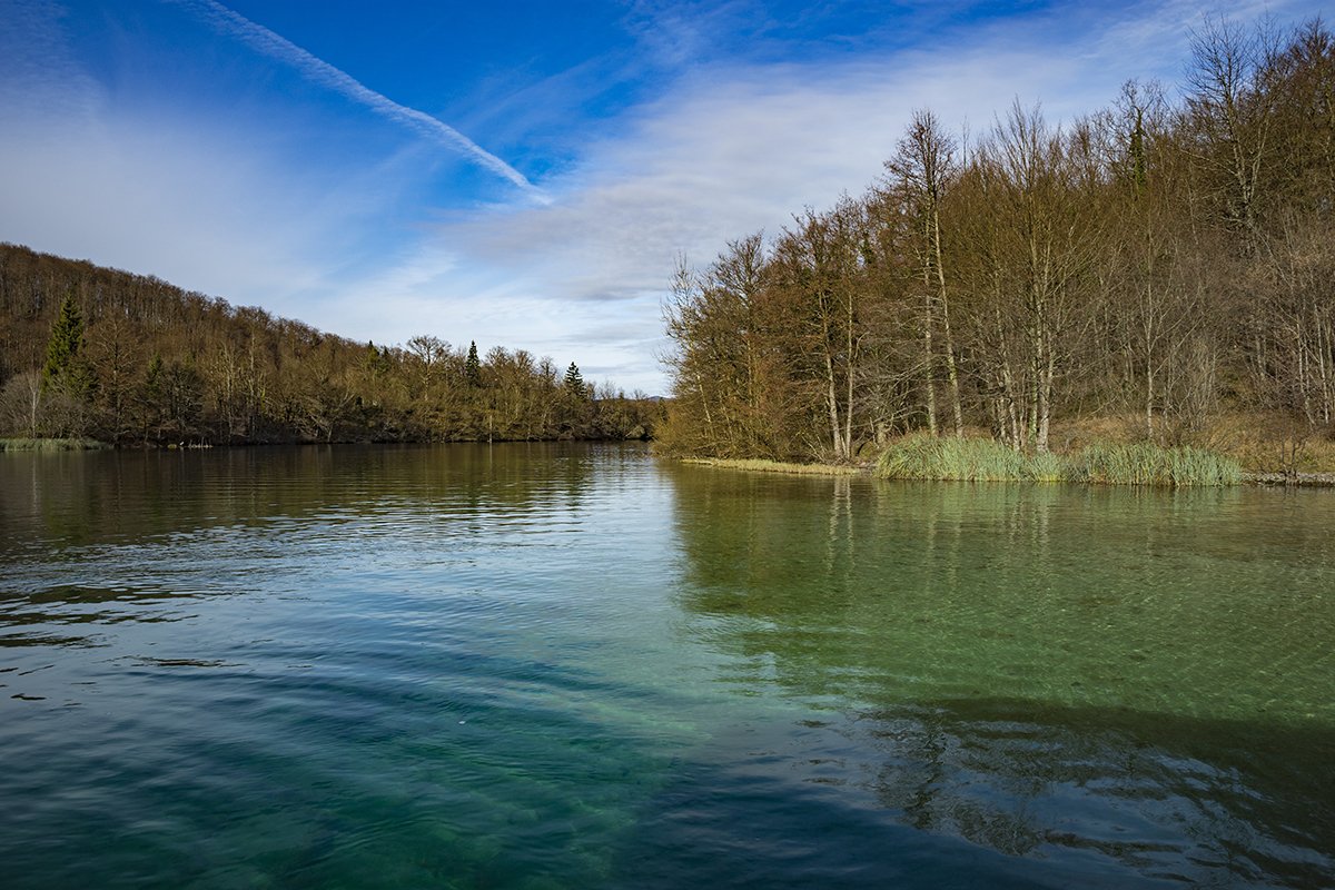 Натиснете снимката за да я уголемите  Име:DSC_6983.jpg Прегледи:0 Размер:216.7 КБ ID:6598505