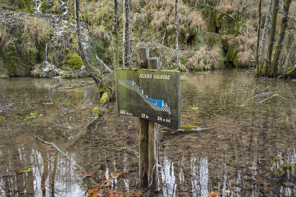 Натиснете снимката за да я уголемите  Име:DSC_6998.jpg Прегледи:0 Размер:381.5 КБ ID:6598526
