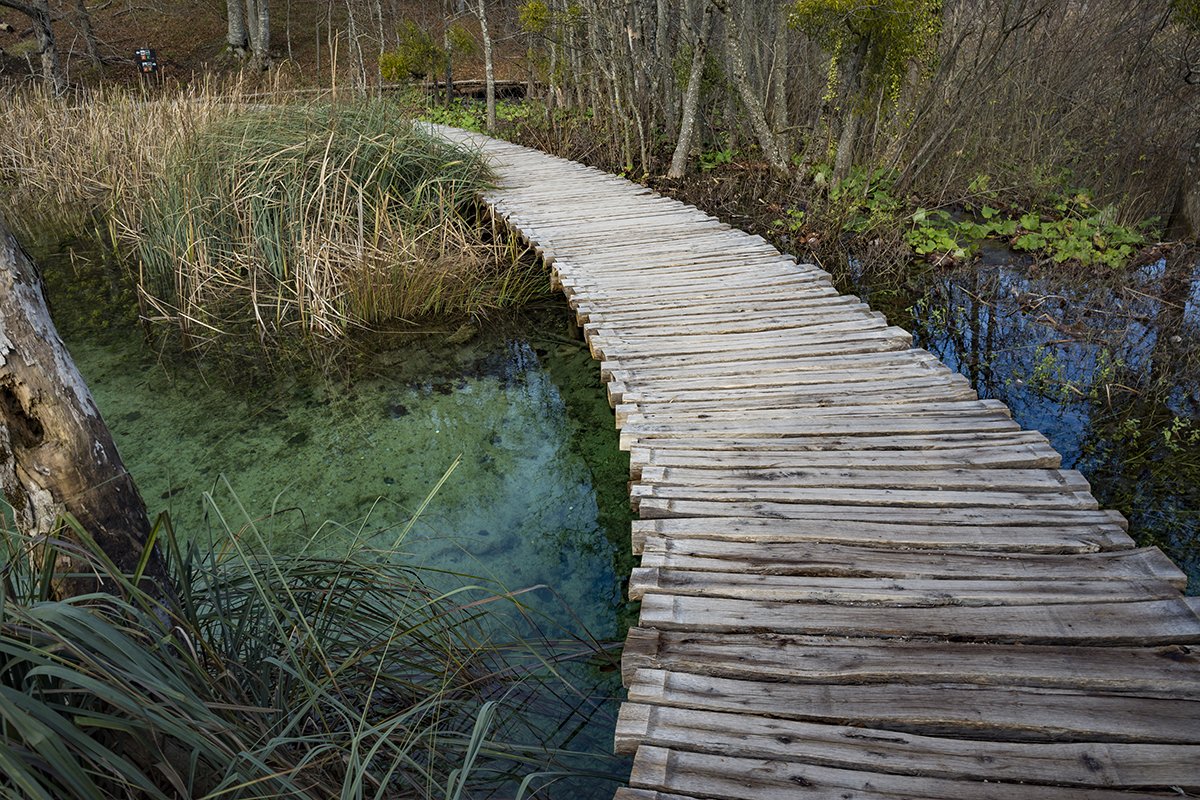 Натиснете снимката за да я уголемите  Име:DSC_7034.jpg Прегледи:0 Размер:348.2 КБ ID:6598529