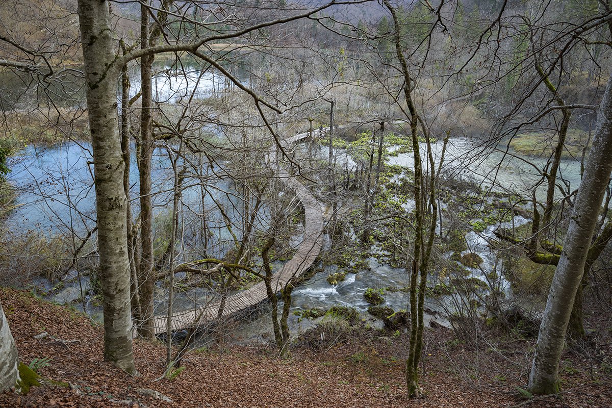 Натиснете снимката за да я уголемите  Име:DSC_7049.jpg Прегледи:0 Размер:424.7 КБ ID:6598531