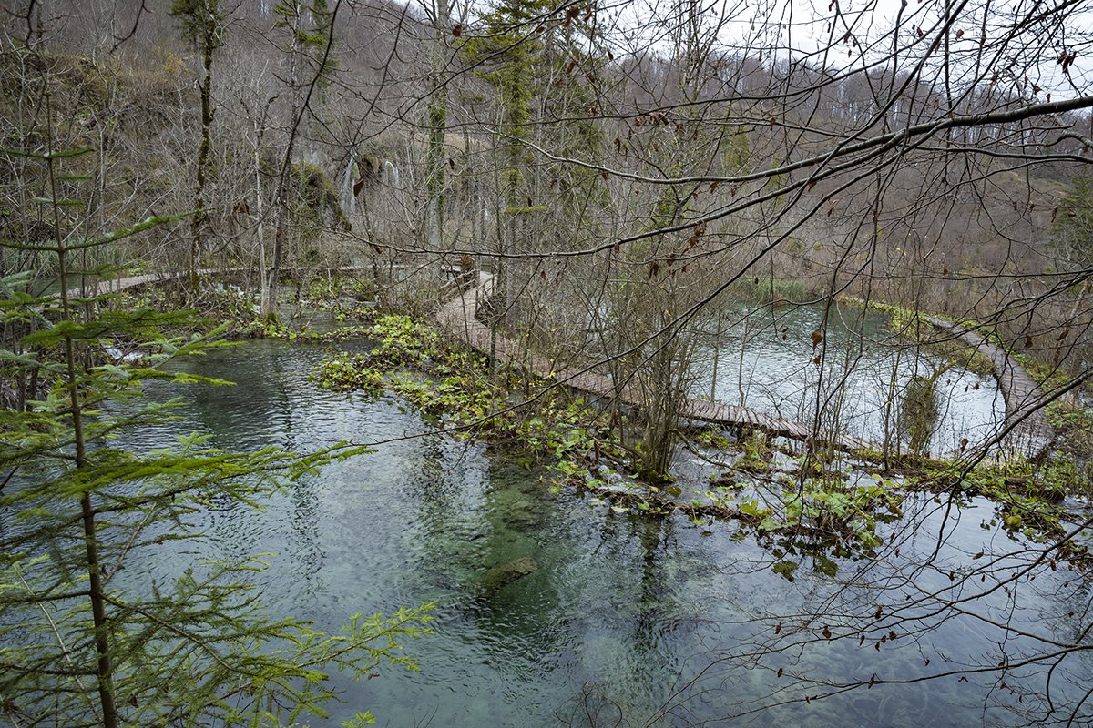 Натиснете снимката за да я уголемите  Име:DSC_7098.jpg Прегледи:0 Размер:411.1 КБ ID:6598572