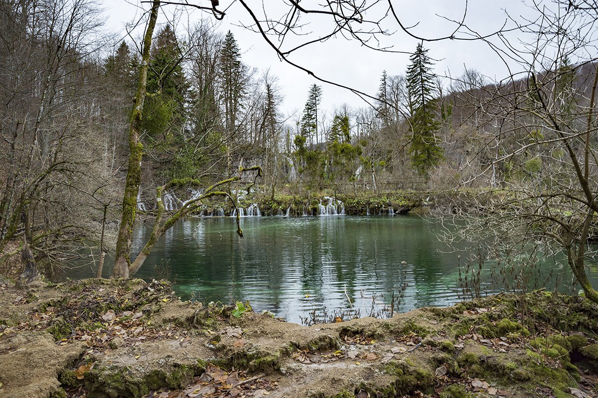 Натиснете снимката за да я уголемите  Име:DSC_7102.jpg Прегледи:0 Размер:399.4 КБ ID:6598573