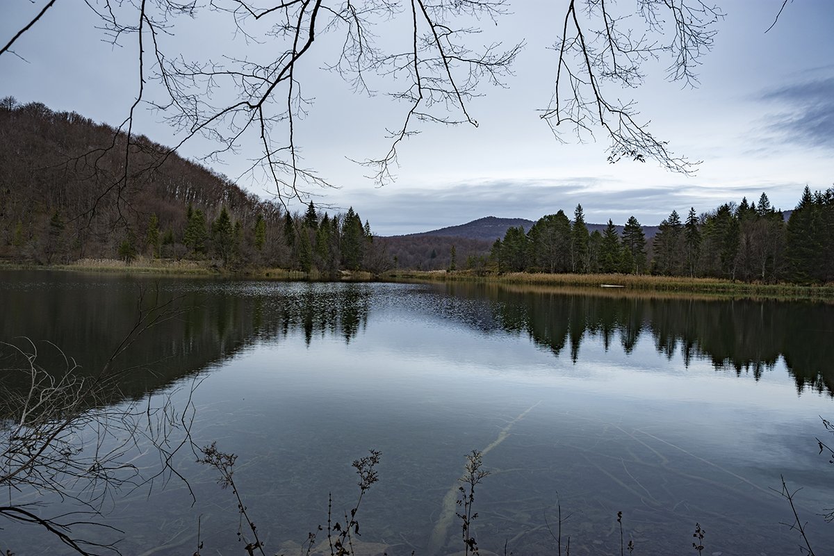 Натиснете снимката за да я уголемите  Име:DSC_7104.jpg Прегледи:0 Размер:208.1 КБ ID:6598574
