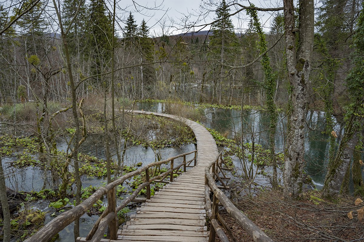 Натиснете снимката за да я уголемите  Име:DSC_7110.jpg Прегледи:0 Размер:394.9 КБ ID:6598575