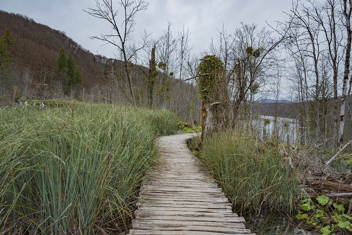 Натиснете снимката за да я уголемите  Име:DSC_7111.jpg Прегледи:0 Размер:368.2 КБ ID:6598576