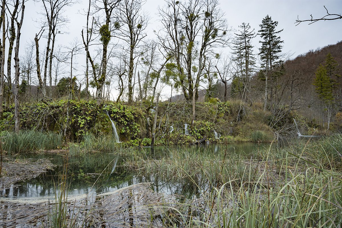 Натиснете снимката за да я уголемите  Име:DSC_7114.jpg Прегледи:0 Размер:423.5 КБ ID:6598577