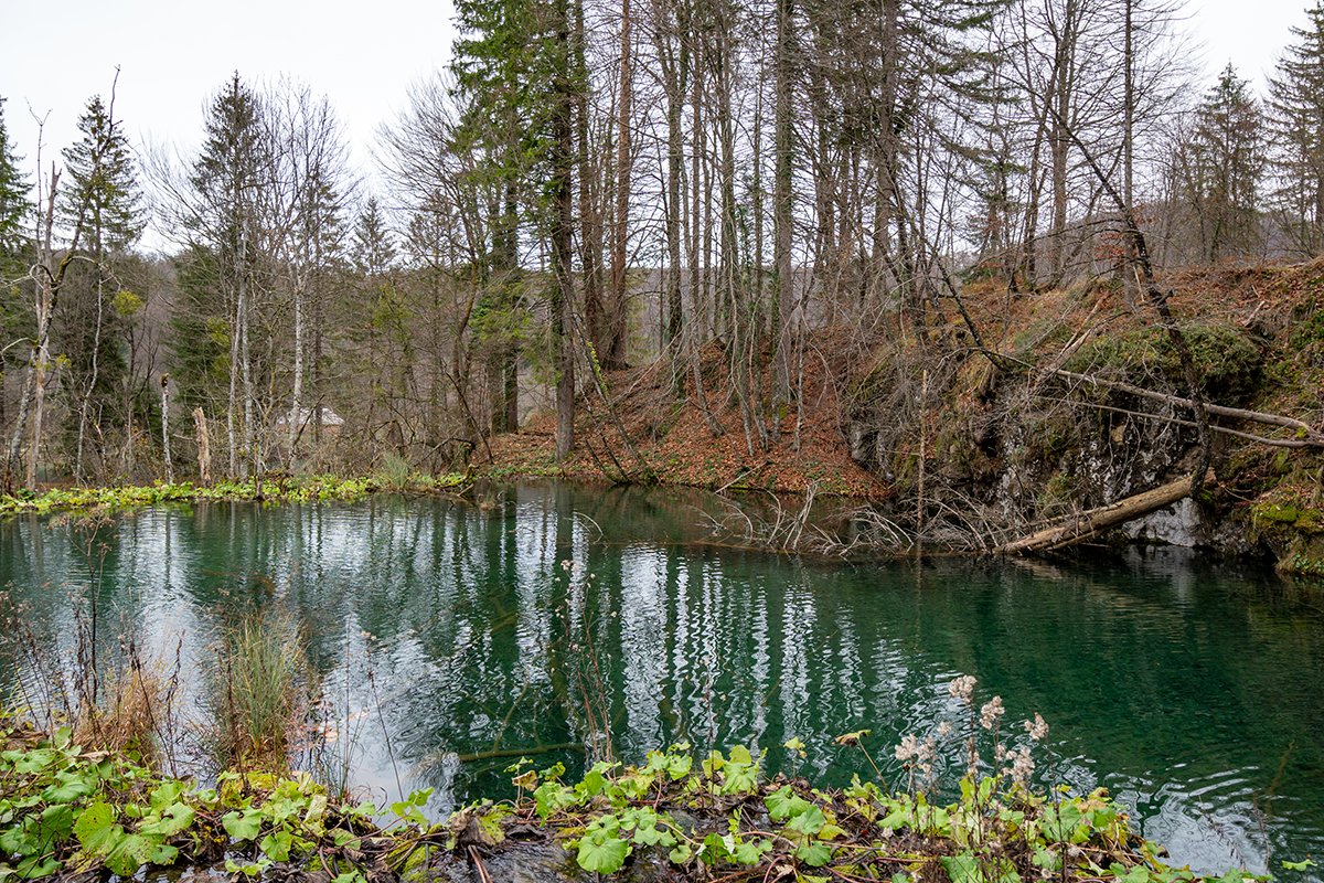 Натиснете снимката за да я уголемите  Име:A6306754.jpg Прегледи:0 Размер:429.4 КБ ID:6598581