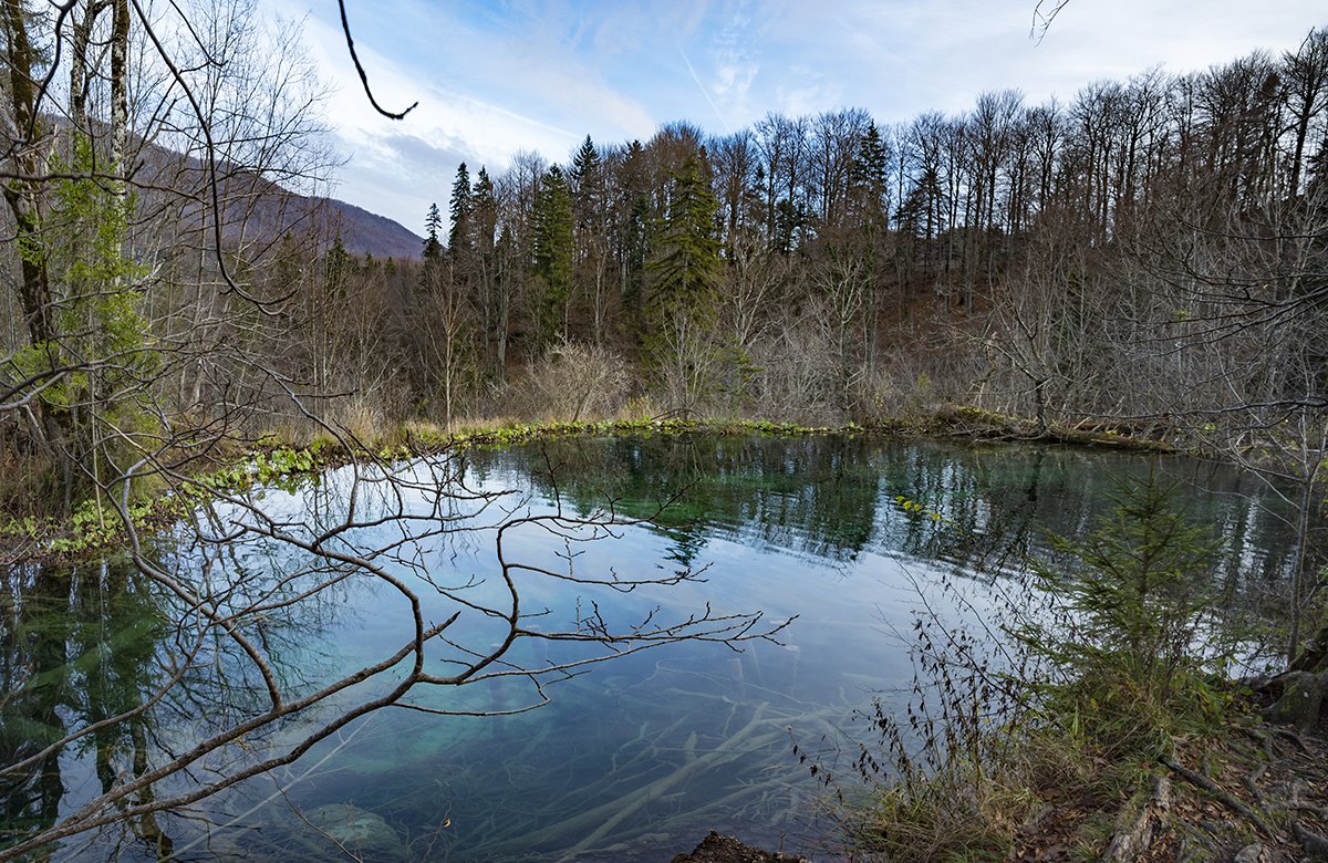 Натиснете снимката за да я уголемите  Име:DSC_7027.jpg Прегледи:0 Размер:342.0 КБ ID:6598584