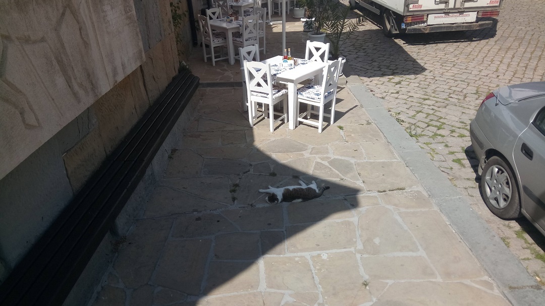 Натиснете снимката за да я уголемите

Име:IMG_20200511_160150.jpg
Прегледи:390
Размер:228.7 КБ
ID:6604464