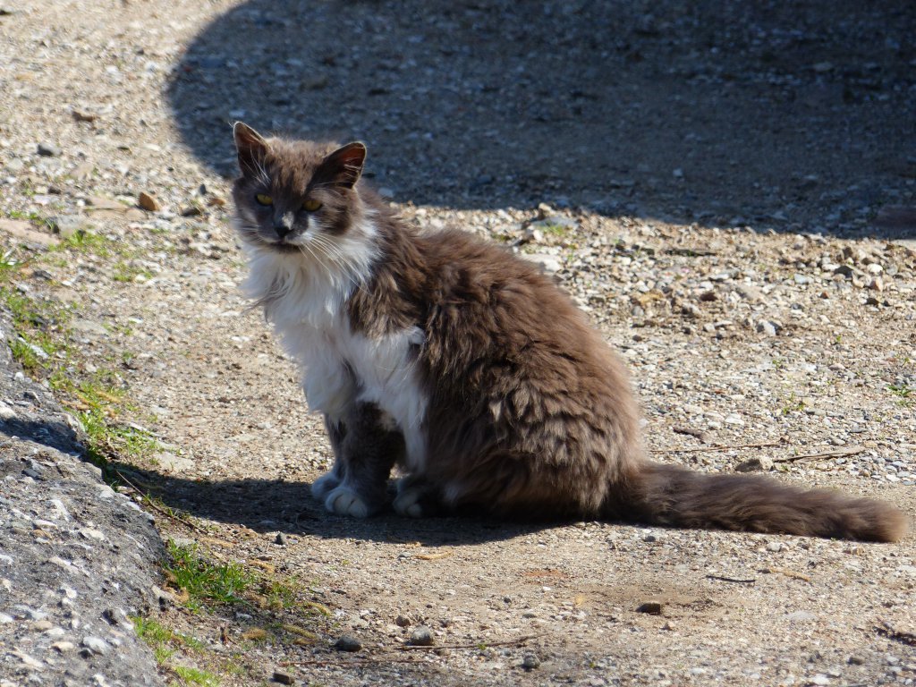 Натиснете снимката за да я уголемите

Име:P1000420.jpg
Прегледи:1
Размер:249.5 КБ
ID:5623654
